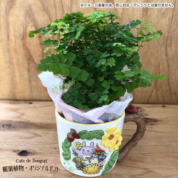 スタジオジブリ 千と千尋の神隠し カオナシ プランター 植木鉢 ガーデニング 楽天市場】ジブリ千と千尋の神隠し「カオナシと坊ネズミ