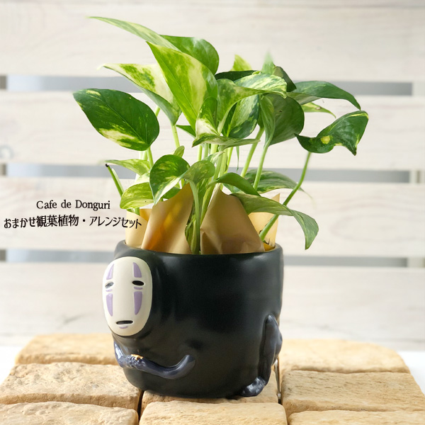 観葉植物 千と千尋の神隠し カップ型プランターカバー カオナシの誘い おまかせ観葉植物 アレンジセット スタジオジブリ ジブリ グッズ 梱包送料込 合わせ買い不可 Educaps Com Br