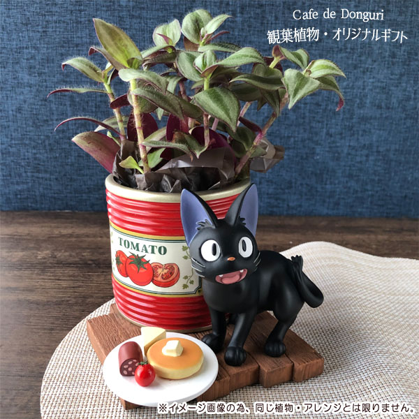 観葉植物 梱包送料込 同梱不可 ジジ ギフト 魔女の宅急便 はらぺこジジ プランターカバー 観葉植物 オリジナルギフト スタジオジブリ ジブリ グッズ Crunchusers Com