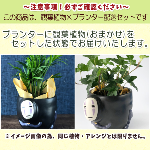 観葉植物 阡と千尋の神隠し マッグ金型プランターカバー カオペアの招待状 おまかせ観葉植物 膳だて一式 スタジオジブリ ジブリ グッズ 荷造り貨物輸送込 合わせ買いとり不可 Foxunivers Com