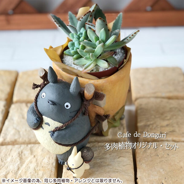 楽天市場】ジブリプランター「もののけ姫 こだまガジュマルの森」皿付