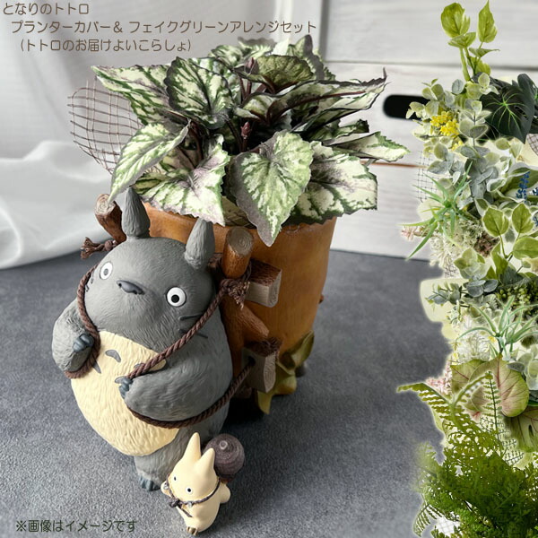 楽天市場】観葉植物 となりのトトロ トトロのお届けよいこらしょ