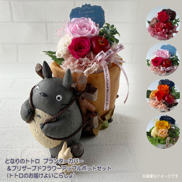 トトロ 陶器プランター トトロ 陶器プランター