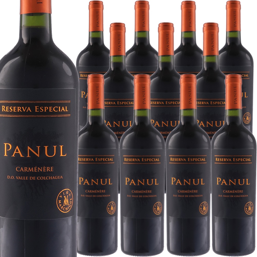 [12本セット] パヌール・カルメネール・レセルバ・エスペシャル (ビーニャ・マルチグエ)　Panul Carmenere Reserva Especial (Vina Marchigue)　チリ セントラル・ヴァレー コルチャグア・ヴァレーDO 赤 フルボディ 750ml｜Donguriano　Wine