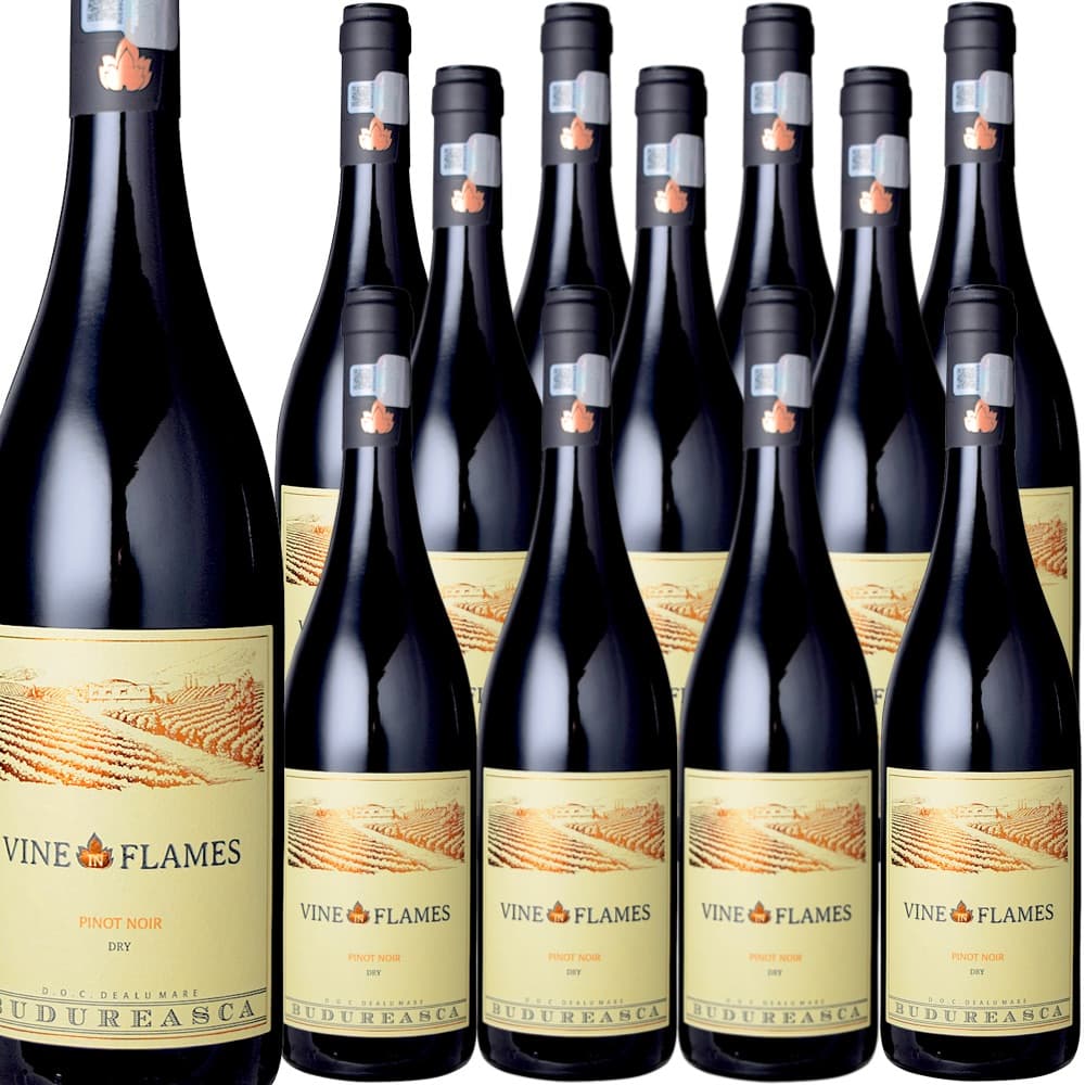 [12本セット] ヴァイン・イン・フレイム・ピノ・ノワール (ヴィル・ブドゥレアスカ) Vine in Flames Pinot Noir (Viile Budureasca) / ルーマニア / ムンテニア / デアル・マーレ / DOCデアル・マーレ / 赤ワイン / ミディアムボディ / 750ml