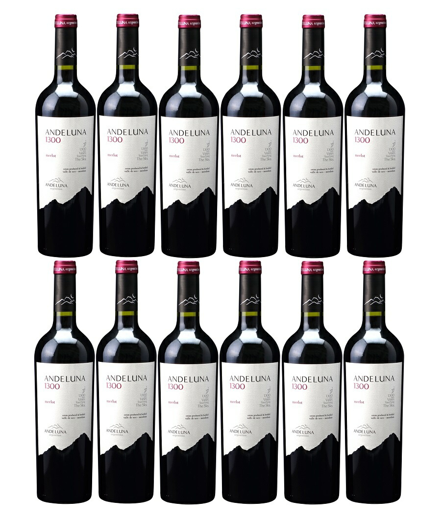 オープニング大放出セール 12本セット アンデルーナ メルロー アンデルーナ セラーズ Andeluna Merlot Andeluna Cellars アルゼンチン メンドーサ 赤 フルボディ 750ml 現行ヴィンテージ 最新人気 Semarang Jateng Polri Go Id