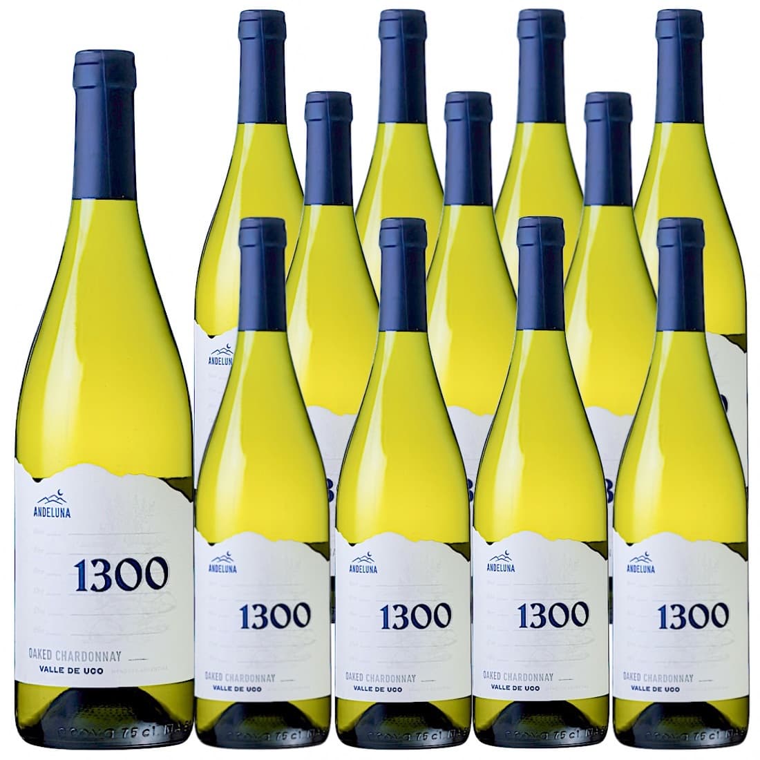 [6本セット] アンデルーナ・シャルドネ (アンデルーナ・セラーズ) / Andeluna Chardonnay (Andeluna Cellars) / アルゼンチン / メンドーサ / 白ワイン / 辛口 / 750ml /【ヴィーガン(VEGAN) / 認証】｜Donguriano　Wine