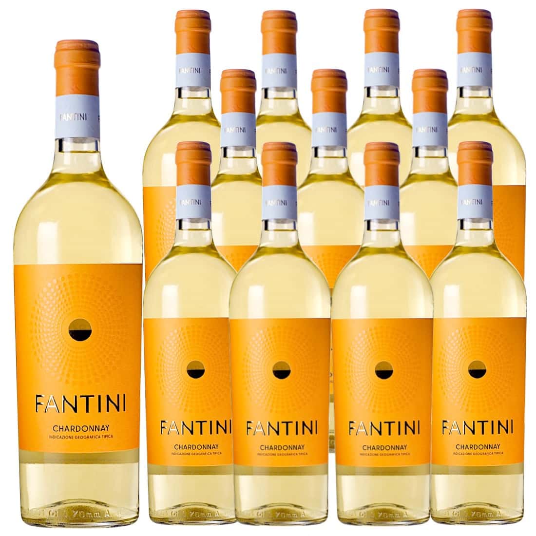 [12本セット] ファンティーニ・シャルドネ (ファンティーニ(ファルネーゼ)) / Fantini Chardonnay (Fantini) / イタリア / アブルッツォ / 白ワイン / 辛口 / 750ml｜Donguriano　Wine