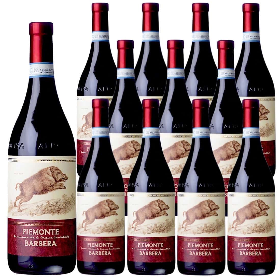 [12本セット] ピエモンテ・バルベーラ (テッレ・デル・バローロ) Piemonte Barbera (Terre del Barolo) / イタリア / ピエモンテ / 赤ワイン / ミディアムボディ / 750ml