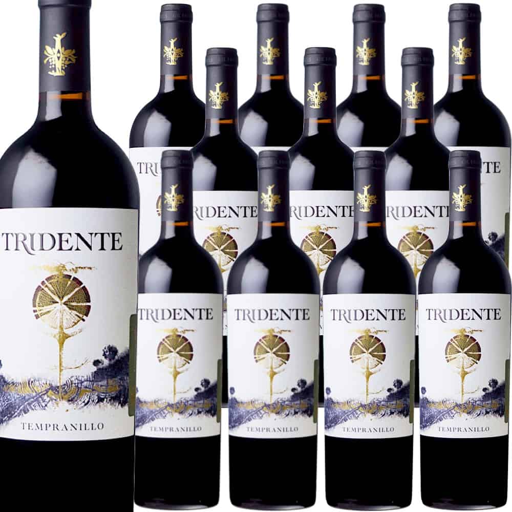 [12本セット] トリデンテ・テンプラニーリョ (ボデガス・トリデンテ)　Tridente Tempranillo (Bodegas Tridente)　スペイン カスティーリャ・イ・レオン 赤 フルボディ 750ml　樹齢:85年｜Donguriano　Wine