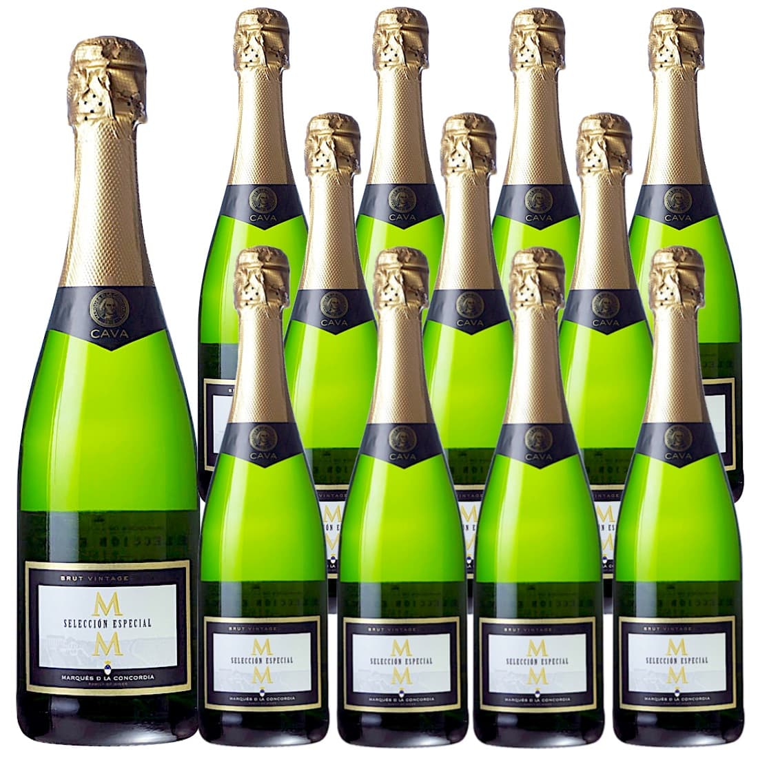 [12本セット] カバ・セレクション・エスペシャル・ブルット (マス・デ・モニストロル) / Cava Seleccion Especial Brut (Mas de Monistrol) / スペイン / ペネデス / 白 / 辛口 / スパークリング / 泡 / 750ml｜Donguriano　Wine
