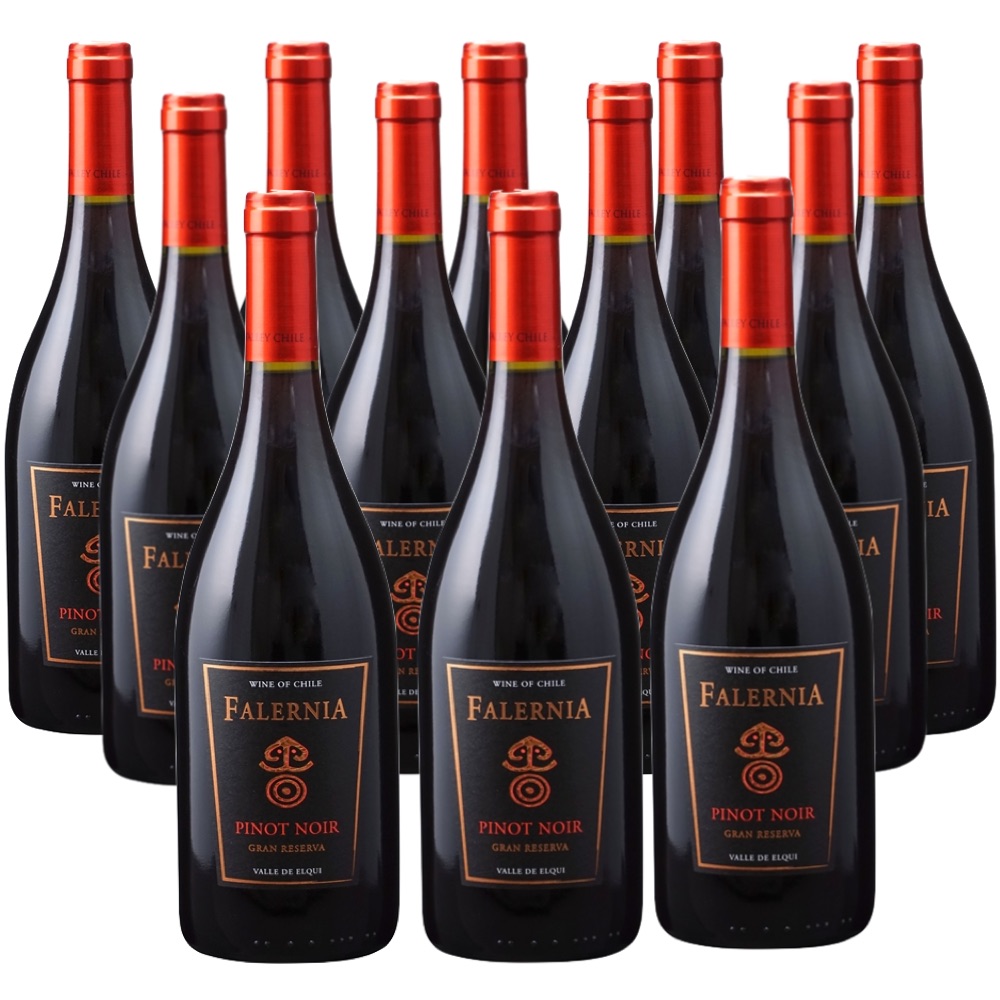 [12本セット] ピノ・ノワール グラン・レセルバ (ビーニャ・ファレルニア)　Pinor Noir Gran Reserva (Vina Falernia)　チリ エルキ・ヴァレー 赤 フルボディ 750ml