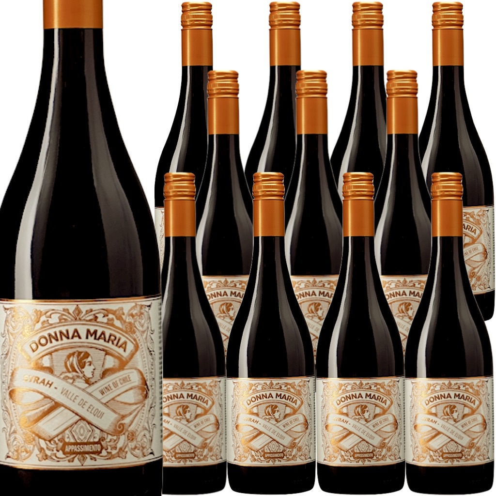 [12本セット] ドンナ・マリア・シラー・アパッシメント (ビーニャ・ファレルニア) / Donna Maria Syrah (Vina Falernia) / チリ / エルキ・ヴァレー / 赤ワイン / フルボディ / 750ml｜Donguriano　Wine