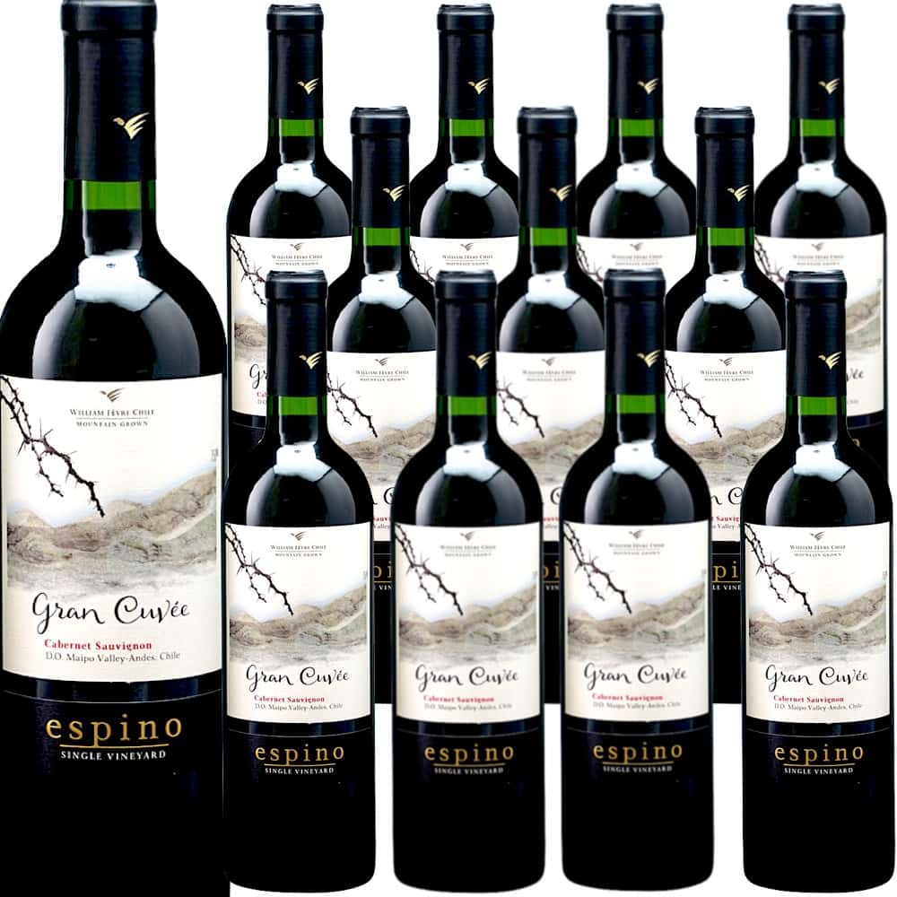 [12本セット] エスピノ・カベルネ・ソーヴィニヨン (カーサ・フェーヴル (ウィリアム・フェーヴル・チリ)) Espino Cabernet Sauvignon (Casa Fevre(William Fevre Chile)) / チリ / マイポ・ヴァレー / 赤ワイン / フルボディ / 750ml