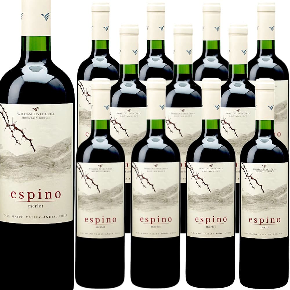 [12本セット] エスピノ・メルロ (カーサ・フェーヴル (ウィリアム・フェーヴル・チリ)) Espino Merlot (Casa Fevre(William Fevre Chile)) / チリ / マイポ・ヴァレー / 赤ワイン / フルボディ / 750ml