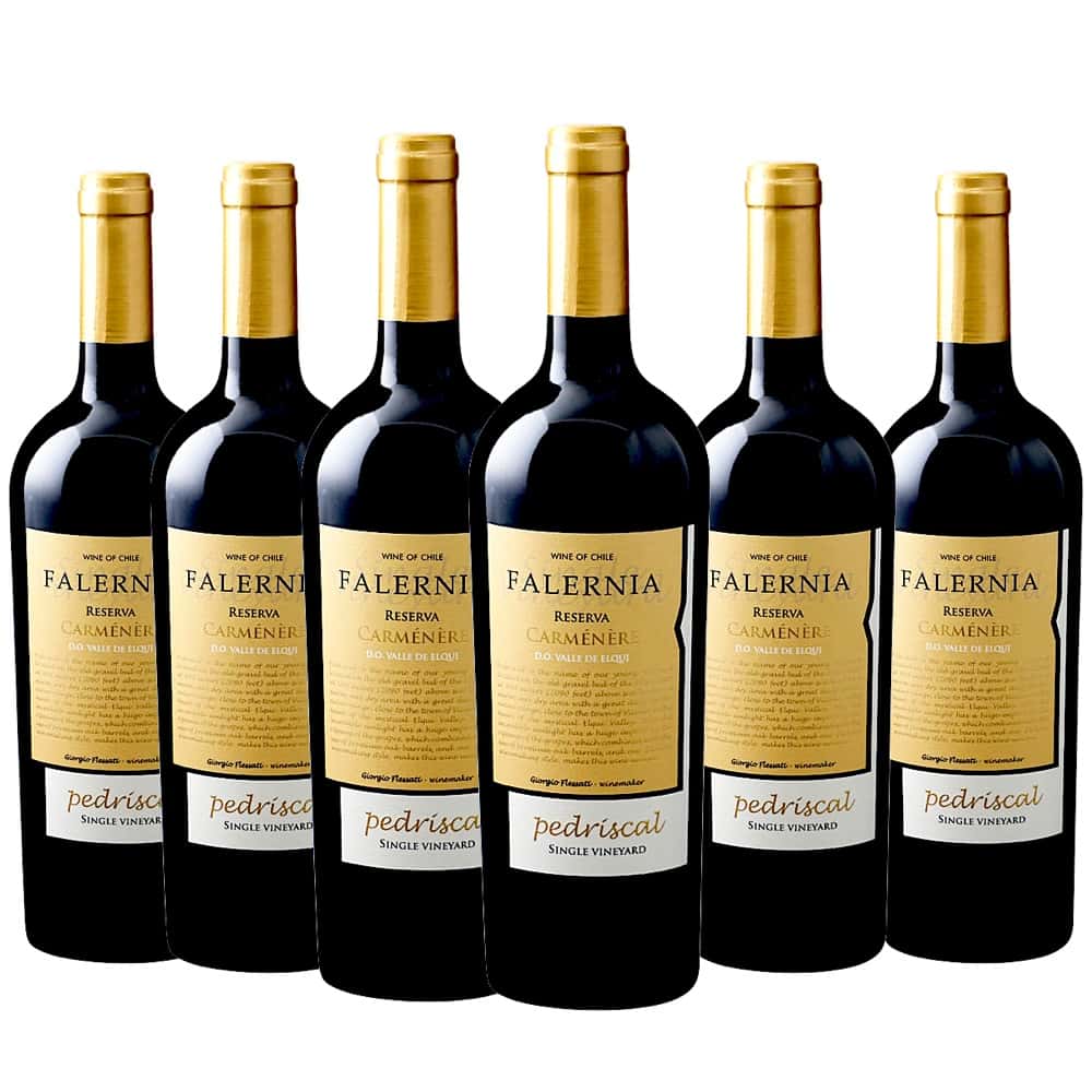 [6本セット] カルムネール・レセルバ・ペドリスカル・シングル・ヴィンヤード (ビーニャ・ファレルニア) / Carmenere Reserva Pedriscal Single Vineyard (Vina Falernia) / チリ / エルキ・ヴァレー / 赤ワイン / フルボディ / 750ml｜Donguriano　Wine