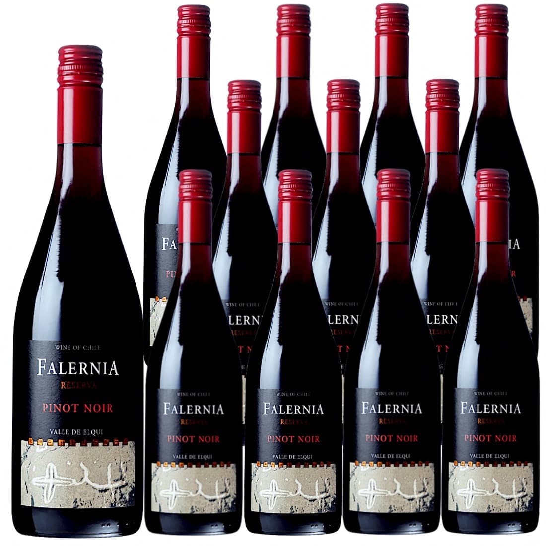 [12本セット] ピノ・ノワール・レセルバ (ビーニャ・ファレルニア) Pinot Noir Reserva (Vina Falernia) / チリ / エルキ・ヴァレー / 赤ワイン / フルボディ / 750ml