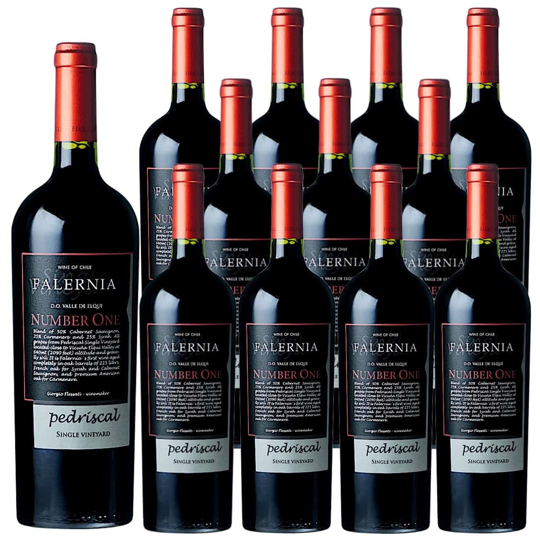 [12本セット] ナンバーワン・ペドリスカル・シングル・ヴィンヤード [2021] (ビーニャ・ファレルニア) / Number One Pedriscal Single Vineyard (Vina Falernia) / チリ / エルキ・ヴァレー / 赤ワイン / フルボディ / 750ml｜Donguriano　Wine