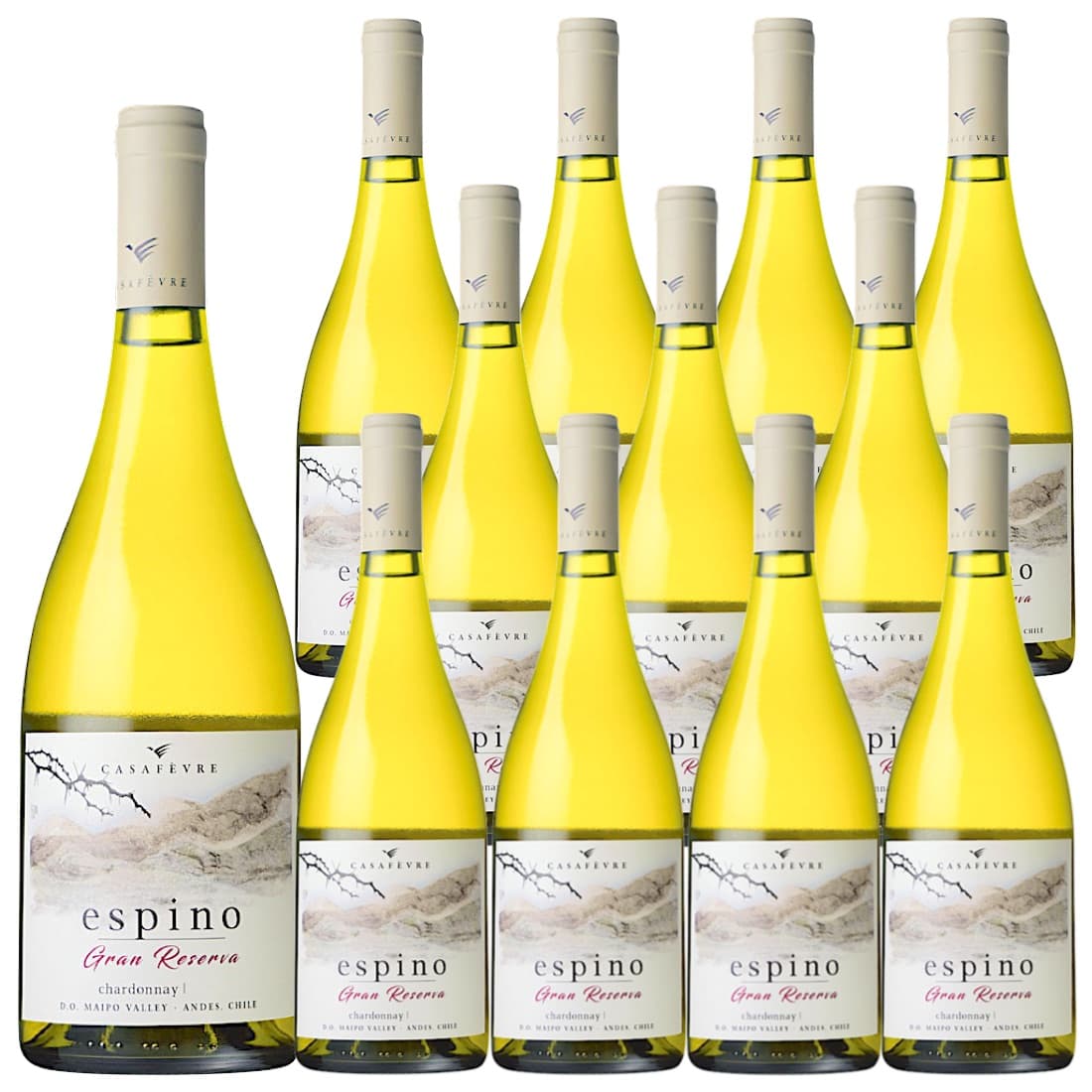 [12本セット] エスピノ・シャルドネ・グラン・レセルバ (カーサ・フェーヴル (ウィリアム・フェーヴル・チリ)) / Espino Chardonnay Gran Reserva (Casa Fevre(William Fevre Chile)) / チリ / マイポ・ヴァレー / 白ワイン / 辛口 / 750ml｜Donguriano　Wine