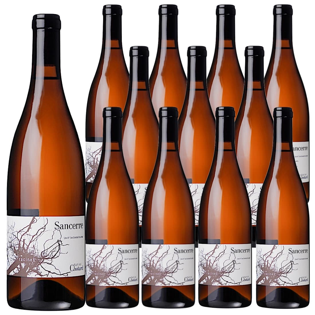 [12本セット] サンセール・ブラン・ラシーヌ [2022] (ダニエル・ショタール) / Sancerre Blanc Racines (Daniel Chotard) / フランス ロワール 白 辛口 750ml｜Donguriano　Wine