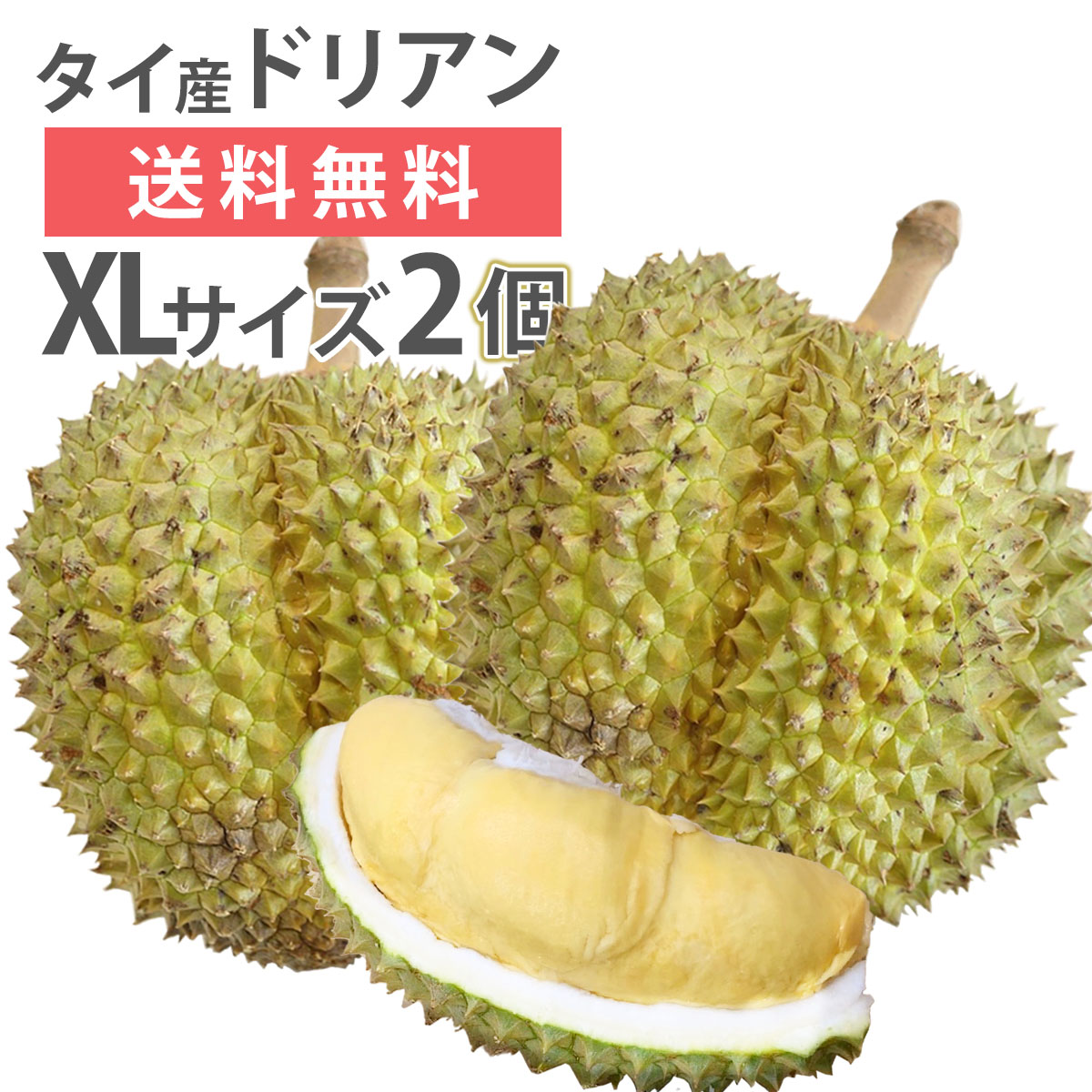 生ドリアン1.5-2.0キロ/玉 即日出荷 | mdh.com.sa