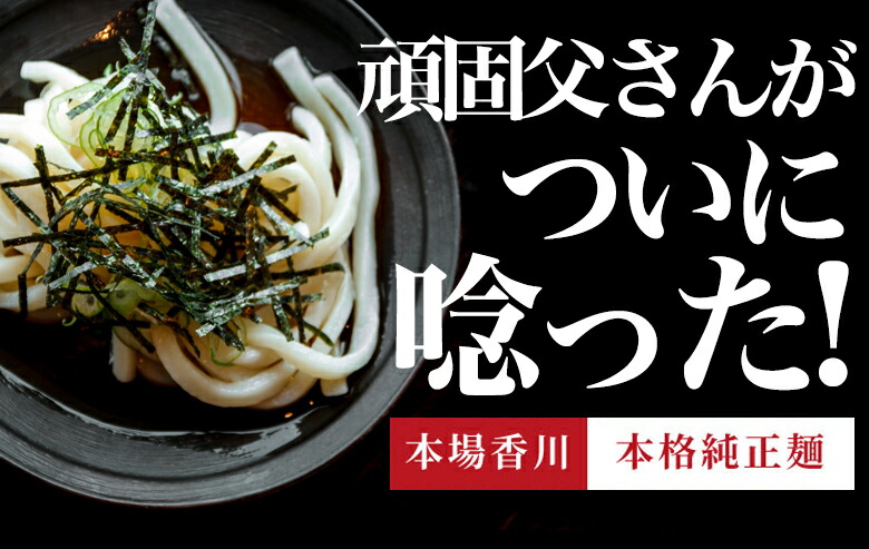 送料無料 (北海道・沖縄・離島+1500円) 2種から選べる 讃岐生うどん