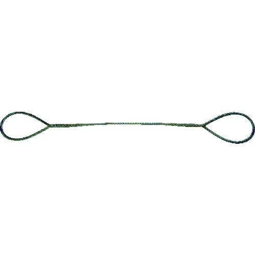 トラスコ中山(TRUSCO) 玉掛け針金索条 段し TWD6S1 6mm×1m x 20本 x 【容れもの売りわたす】