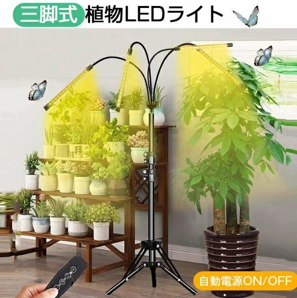 水耕栽培ランプ 光補足 植物育成LED 4ヘッド付き 太陽光 室内栽培ライト usb 多肉植物育成 三脚 タイマー 観葉植物育成ライト 80LEDランプ 植物育成ライト LED 10階段調光 日照不足解消 トフルスペクトル スタンド4灯 植物ライト｜livemart