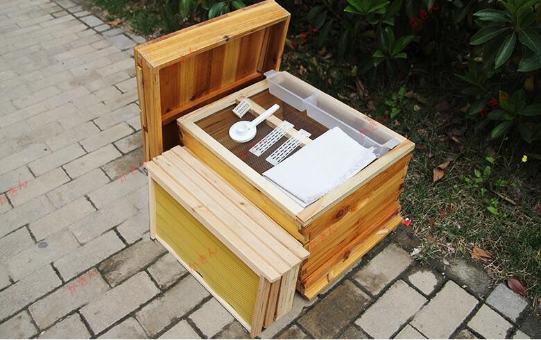 蜜蝋ペンキ塗り 繁殖鳥小屋 みつばち繁殖用鳥小屋 養蜂手道具 蜜蜂 杉木製鳥小屋 巣枠 養蜂装置 蜂 新入荷☆高品質 巣枠式鳥小屋