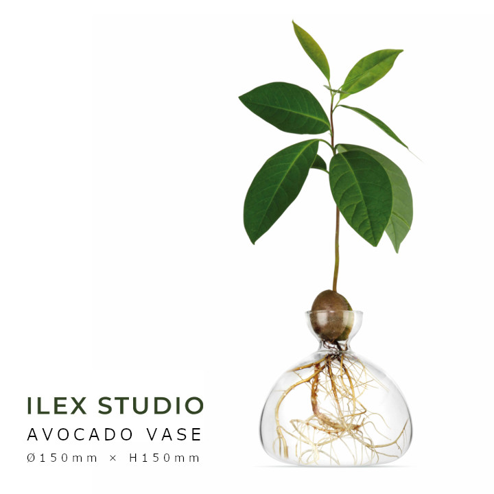 ロイヤルファニチャーコレクションILEX STUDIO（アイレックス制作室）AVOCADO VASE アヴォカード 軍事基地150粍 × H150粍[お取り寄せ][沖縄・北海道送りとどける不可]