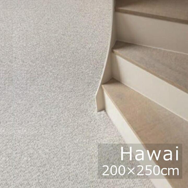 Hawai　ハワイ　200×250ｃｍ オーバロック加工 Creatuft 社ベルギー製生地 [ 北欧高級ラグ ウール100％の天然ラグ] [沖縄・北海道配送不可]