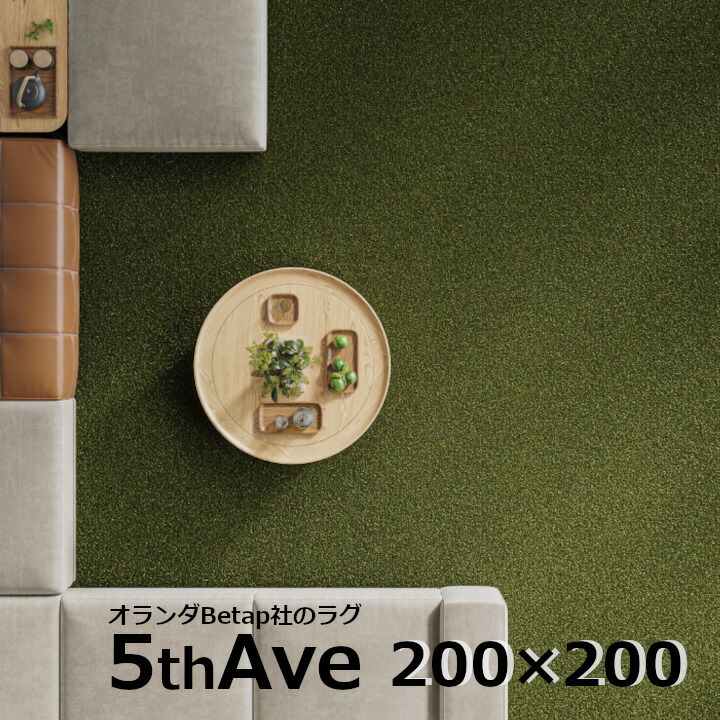 5thAve　フィフスアベニュー　200×200ｃｍ [ オランダBetap社の高級ラグ カーペット 床暖房対応 防炎 規格サイズ ロボット掃除機対応　スプリングヴァレー ][メーカー直送品 沖縄・北海道配送不可]