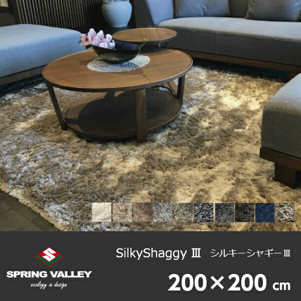 楽天市場】スプリングヴァレーPisa(ピサ)200×140cm[ 高級ラグ