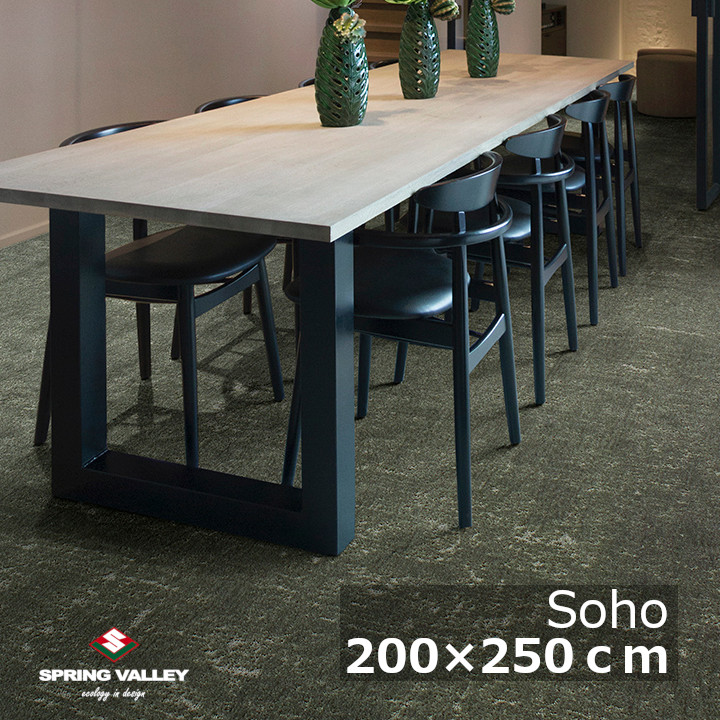 スプリングヴァレーSoho(ソーホー)200×250ｃｍ[ 御前上等引っ敷き 引っ敷き 床暖房装置相応う 防炎 標準尺度大きさ 自動人形掃き出す機相応う ][製造業者直送品 沖縄・北海道送りとどける不可]