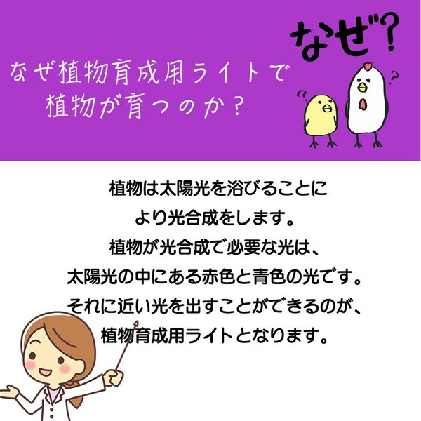 楽天市場 植物育成 ライト Led 水草栽培 温室水耕栽培 ランプ 室内植物育成ライト 多肉植物 育成 成長促進 光合成 日光 日照不足 解消 省エネ 送料無料 Kingyama楽天市場店