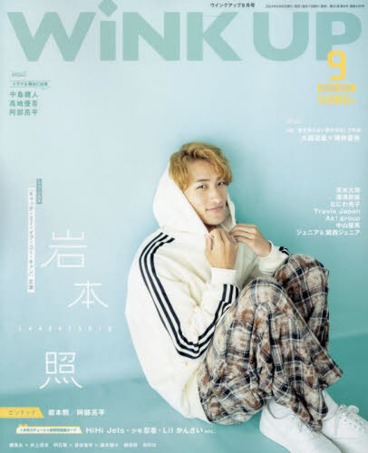 楽天市場】【送料無料・新品】Wink（ウインク） : 激安Audio