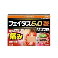 【第2類医薬品】フェイタス5.0温感大判 (20枚)×2個　 4987188124499