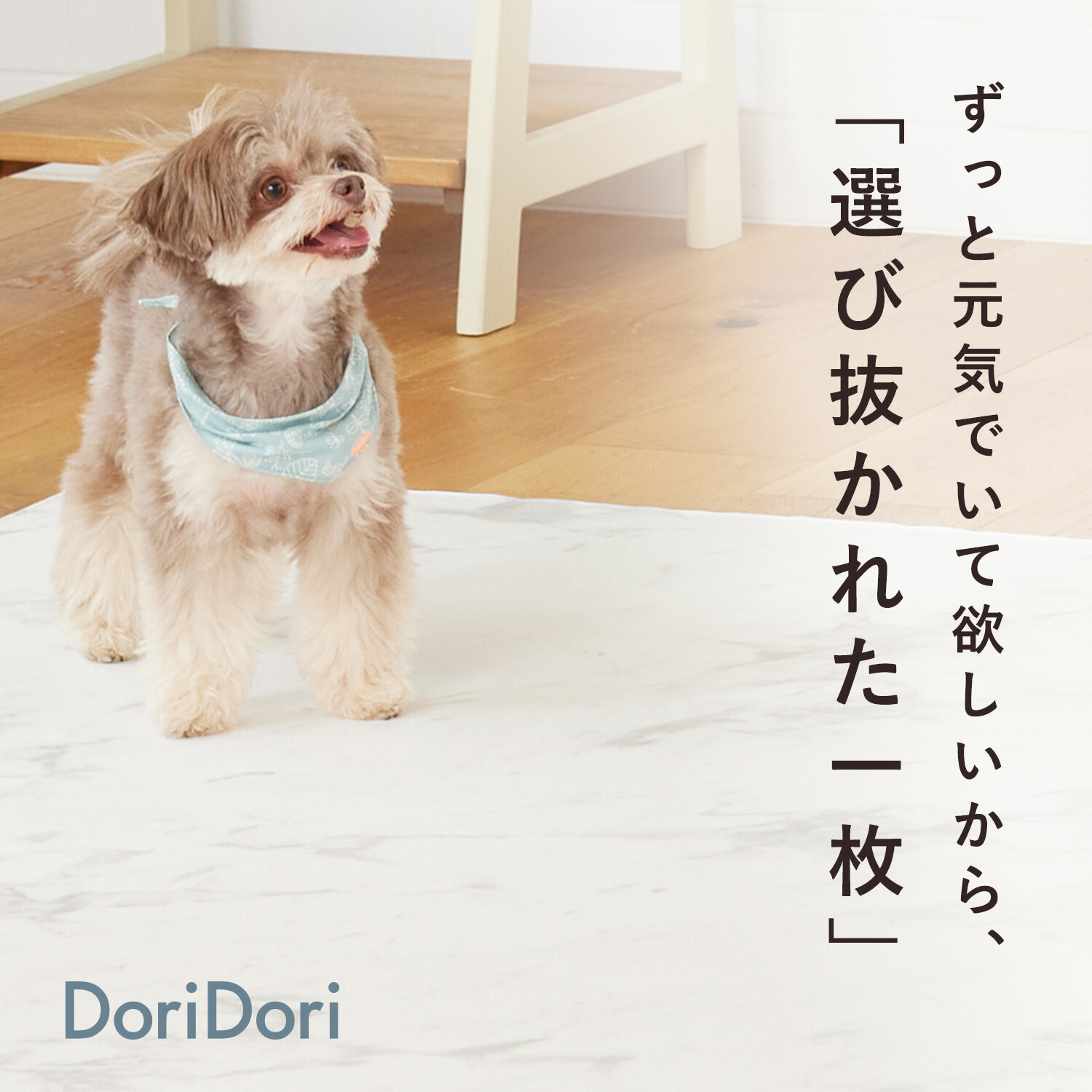 Dogzari ドッグマット110×220×2枚　65×18 0 ×2枚 Amazon | ecofoam Dogzari ペットマット Flat 110×220 オレンジテラゾ