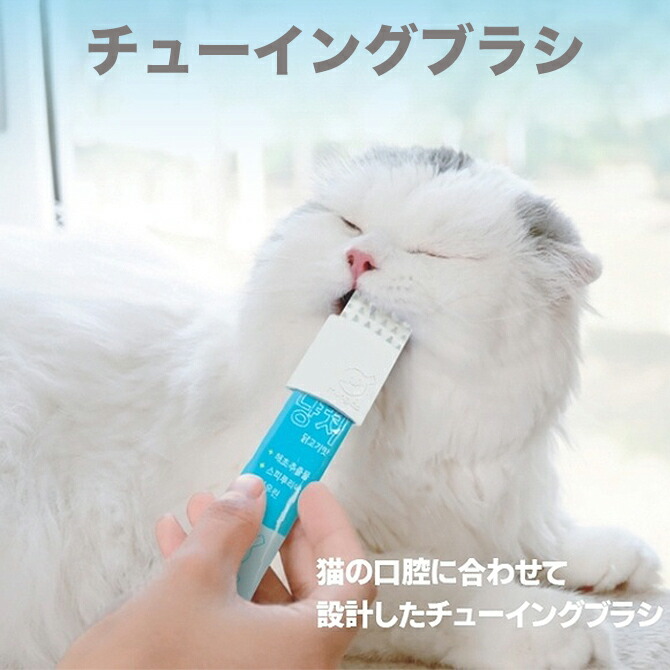 楽天市場 猫用 歯ブラシ 歯茎マッサージ チューイングブラシ 猫 歯磨き チューブ型 キャットフード ちゅーる 送料無料 代引き不可 Snj51 Doridori