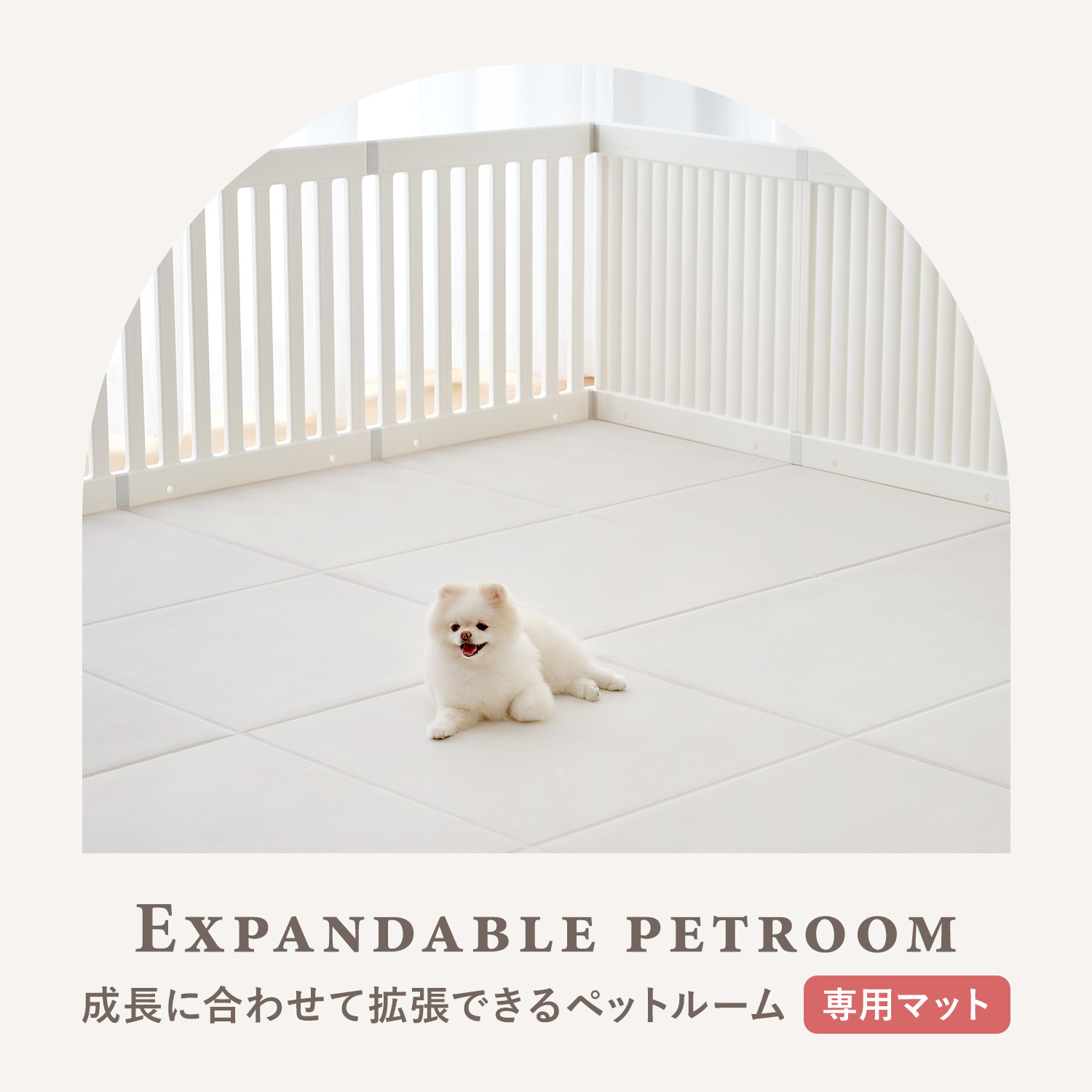 doridori ペットサークル特殊