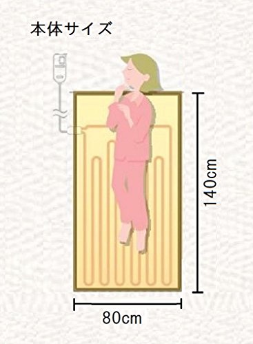 140 80cm パナソニック Sek抗菌防臭加工 電気しき毛布 季節 空調家電 140 80cm ベージュ パナソニック Db U11t C ドリエムコーポレーション 新品