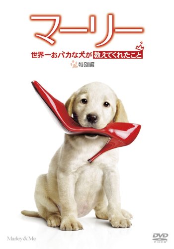 ポイント10倍 楽天市場 新品 マーリー 世界一おバカな犬が教えてくれたこと 特別編 Dvd ドリエムコーポレーション 高い品質 Lexusoman Com