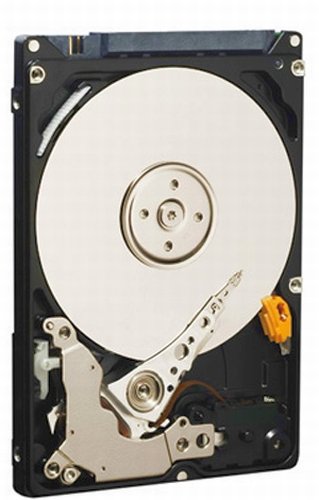 【中古】【非常に良い】WESTERN DIGITAL WD1600BEVS 160GB 5400 RPM 8MB SATA