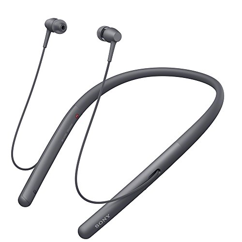 【中古】【非常に良い】ソニー ワイヤレスイヤホン h.ear in 2 Wireless WI-H700 : Bluetooth/ハイレゾ対応 最大8時間連続再生 カナル型 マイク付き 2017年モデル 360 Real|ドリエムコーポレーション
