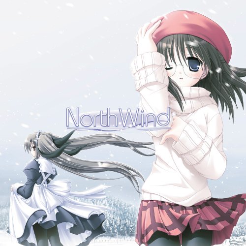 【中古】【非常に良い】North Wind 主題歌マキシシングル 5,235円