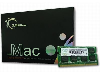 【中古】【非常に良い】G.Skill FA-1600C11S-8GSQ (For Mac 8GB&times;1)【MacBook Pro 2012、Mac mini 2012、iMac 2012対応】｜ドリエムコーポレーション