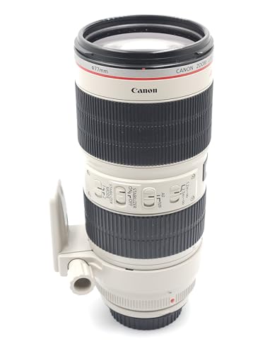 【中古】【人並み外れたに好いたらしい】Canon 望遠望遠レンズ EF70-200粍 F2.8L IS II USM フルサイズ相応う