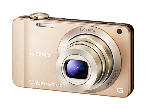 【中古】【人並み外れたに好いたらしい】SONY デジタル写真機 Cyber-Shot(サイバーショット) WX10 1620万絵素CMOS 光学ｘ7 ゴールド DSC-WX10/N