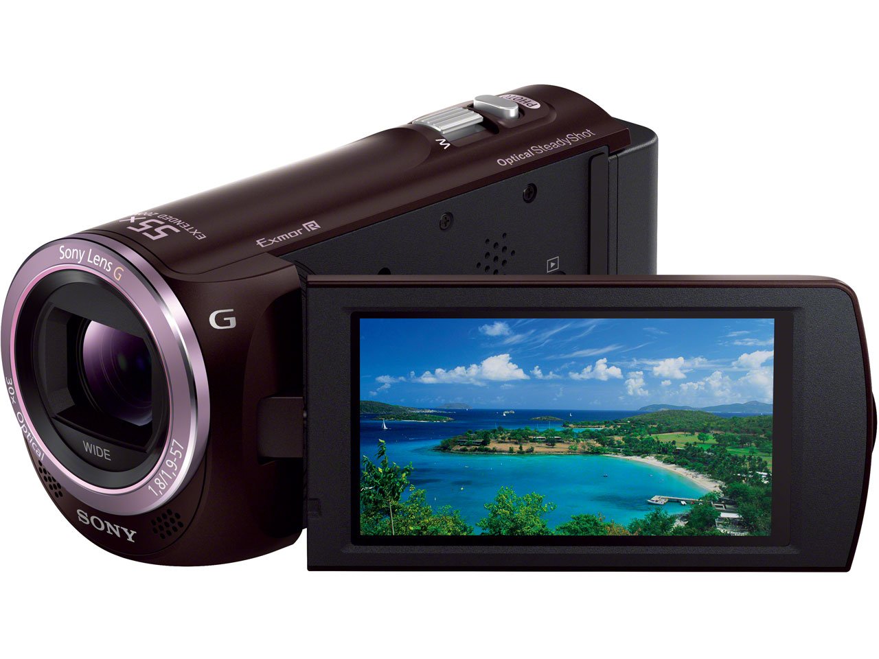 【中古】【非常に良い】SONY デジタルHDビデオカメラレコーダー「HDR-CX390」(ボルドーブラウン) HDR-CX390-T