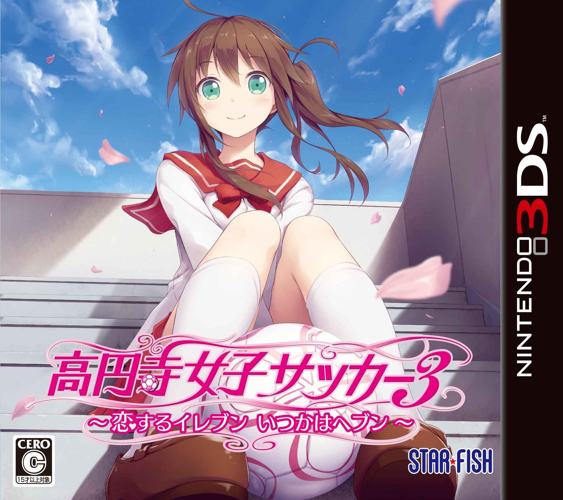 【中古】【非常に良い】高円寺女子サッカー3 ~恋するイレブン いつかはヘブン~ - 3DS|ドリエムコーポレーション